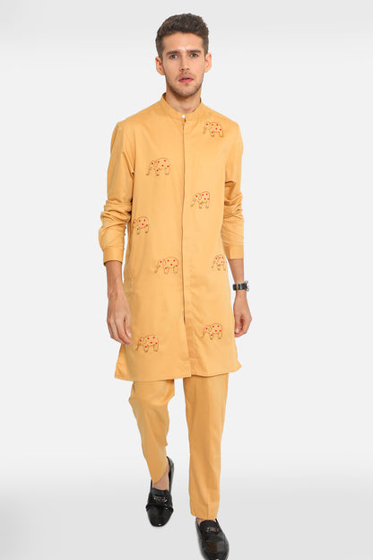 Elephant Handcrafted Kurta Set